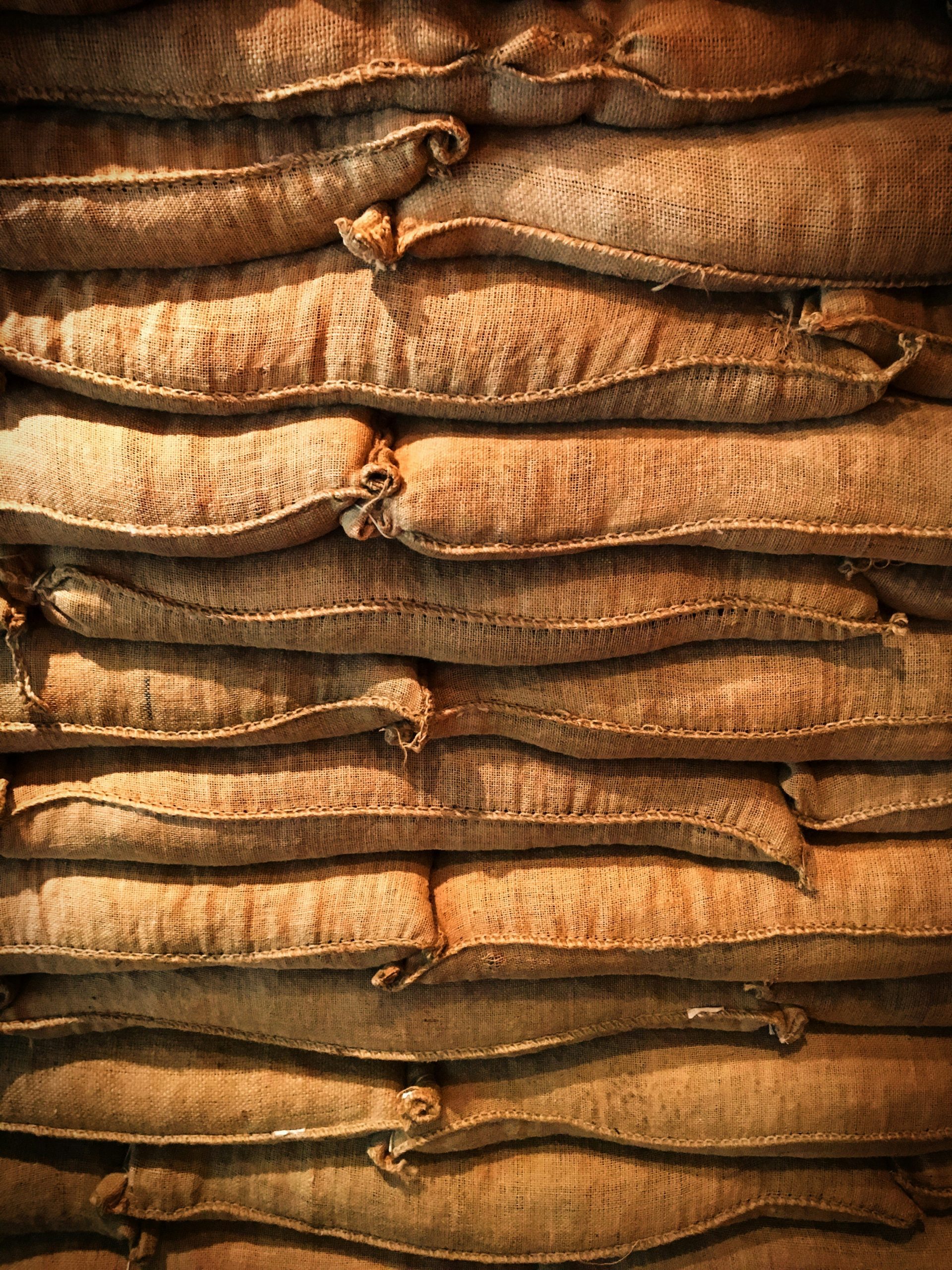 Coffee beans from South east London
