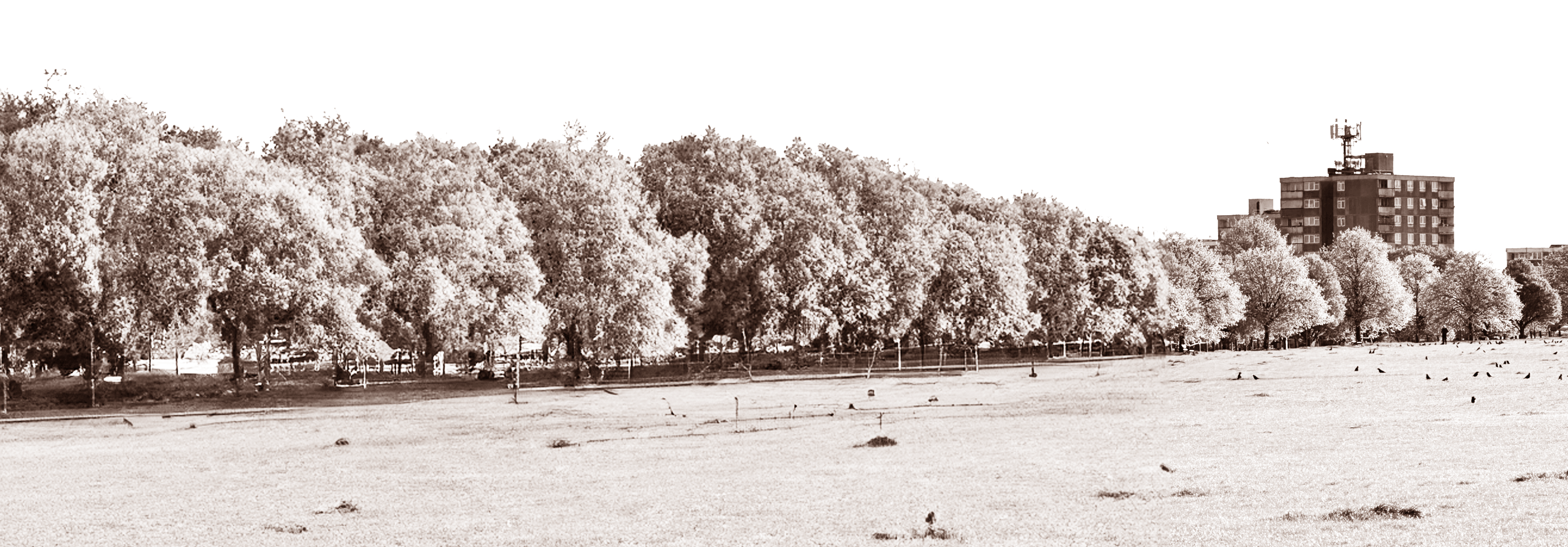 Plumstead common, SE18, coffee roaster