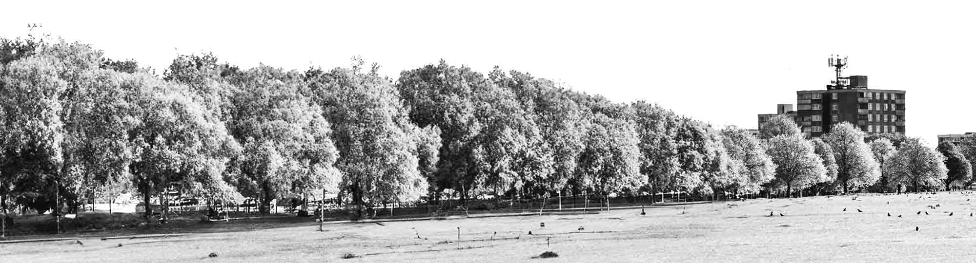 Plumstead common