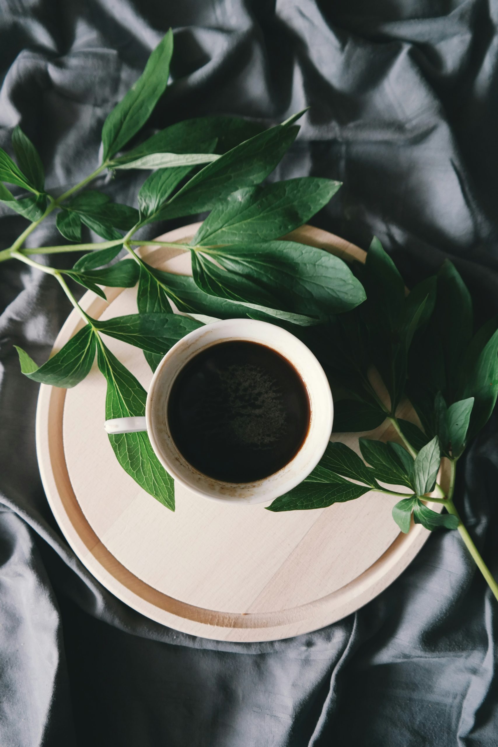 Unlock the World of Coffee: Experience Our 20% Off Coffee Bean Subscription 2 image scaled