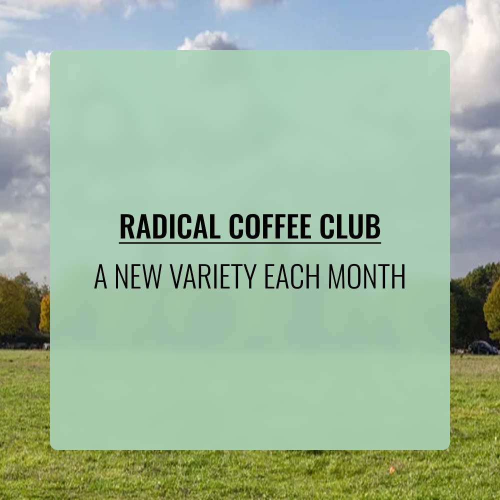 VENDUM Coffee subscriptions, London 3 Subscribe free radical club 2