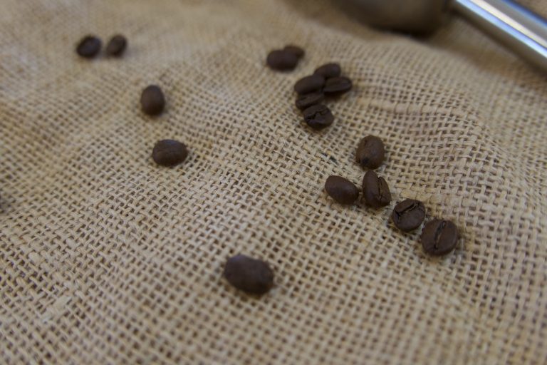 How to effectively store and dispose of coffee grounds?