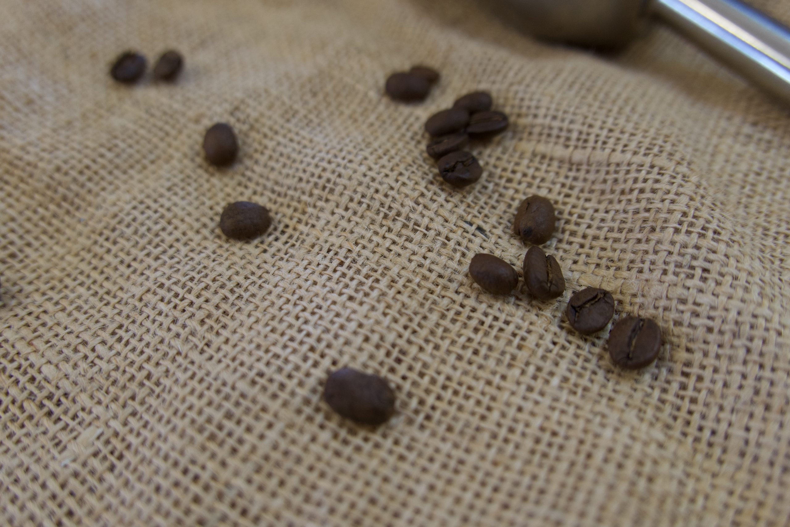 How to effectively store and dispose of coffee grounds? 6 How to effectively store and dispose of coffee grounds?